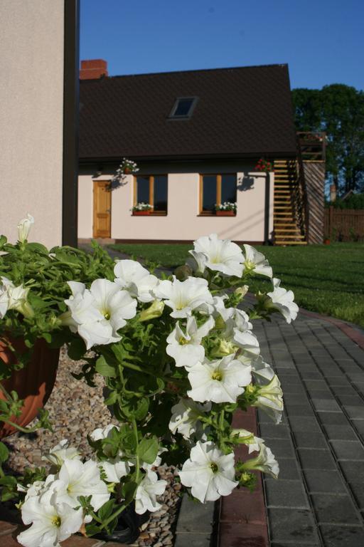 Brivdienu Maja Riekstnieki Plienciems Exterior photo